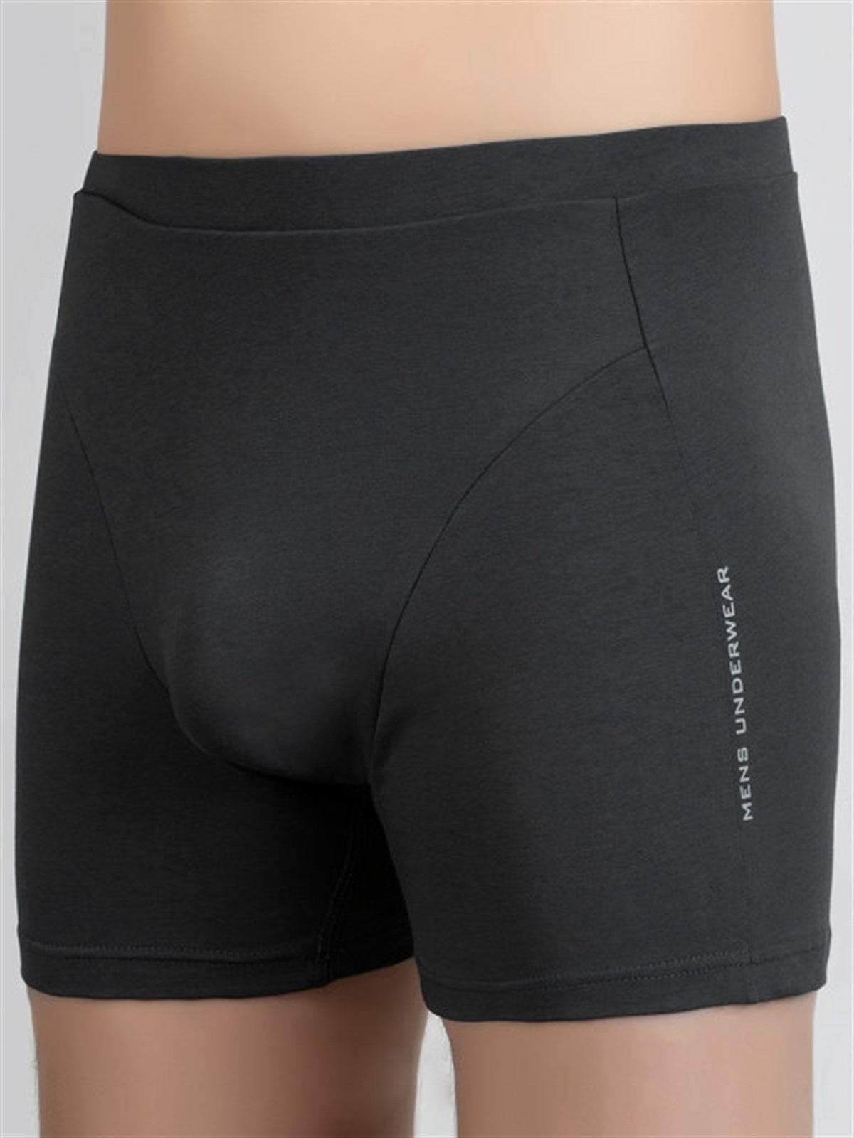 Baykar Erkek  Boxer 1223 Füme
