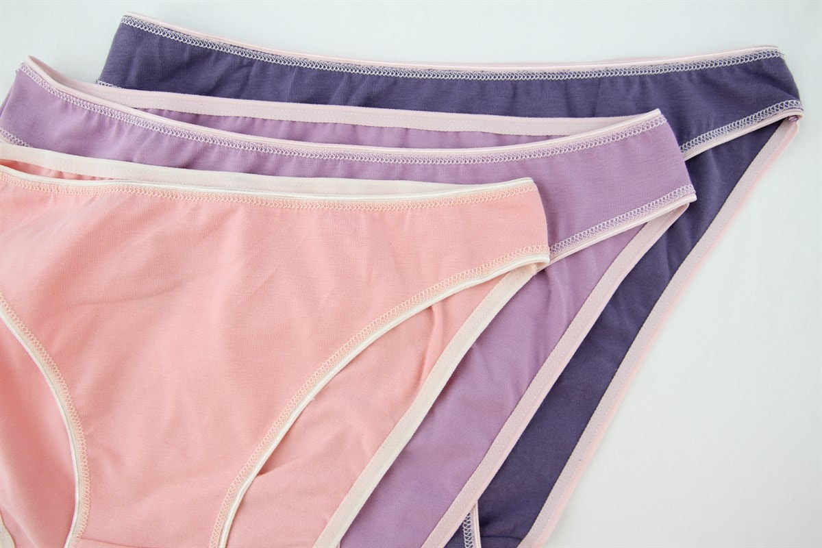 Baykar Kadın Bikini Külot 3Lü Paket  8808-95 Renkli9