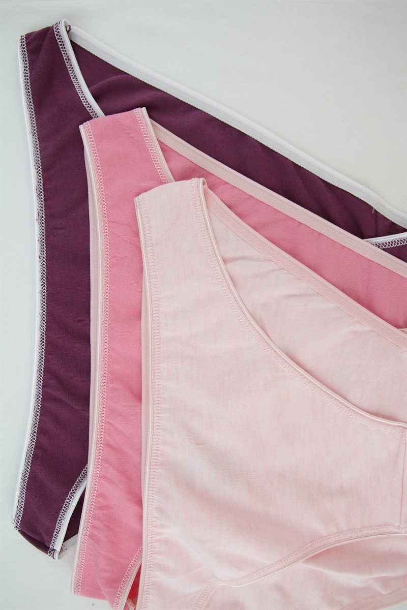 Baykar Kadın Bikini Külot 3Lü Paket  8808-95 Renkli10