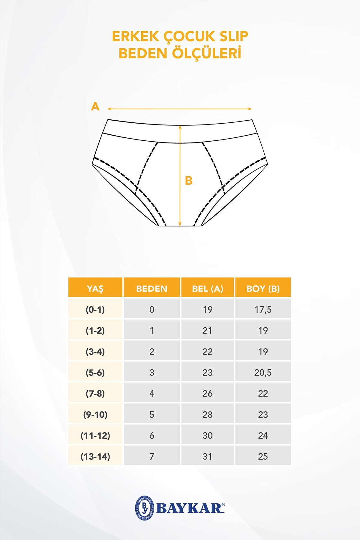 Erkek Çocuk Pamuklu Baskılı Slip Külot 3'lü Paket 3431 Renkli