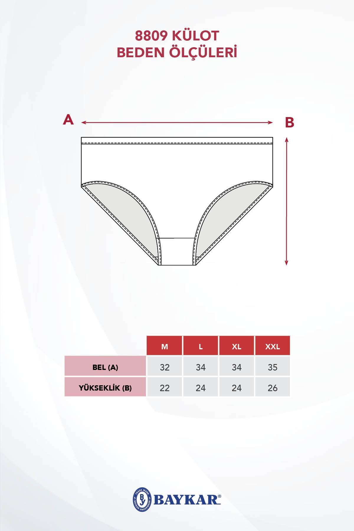 Kadın Bikini Kesim Renkli Pamuklu Külot 3'lü Paket 8414 RENKLİ