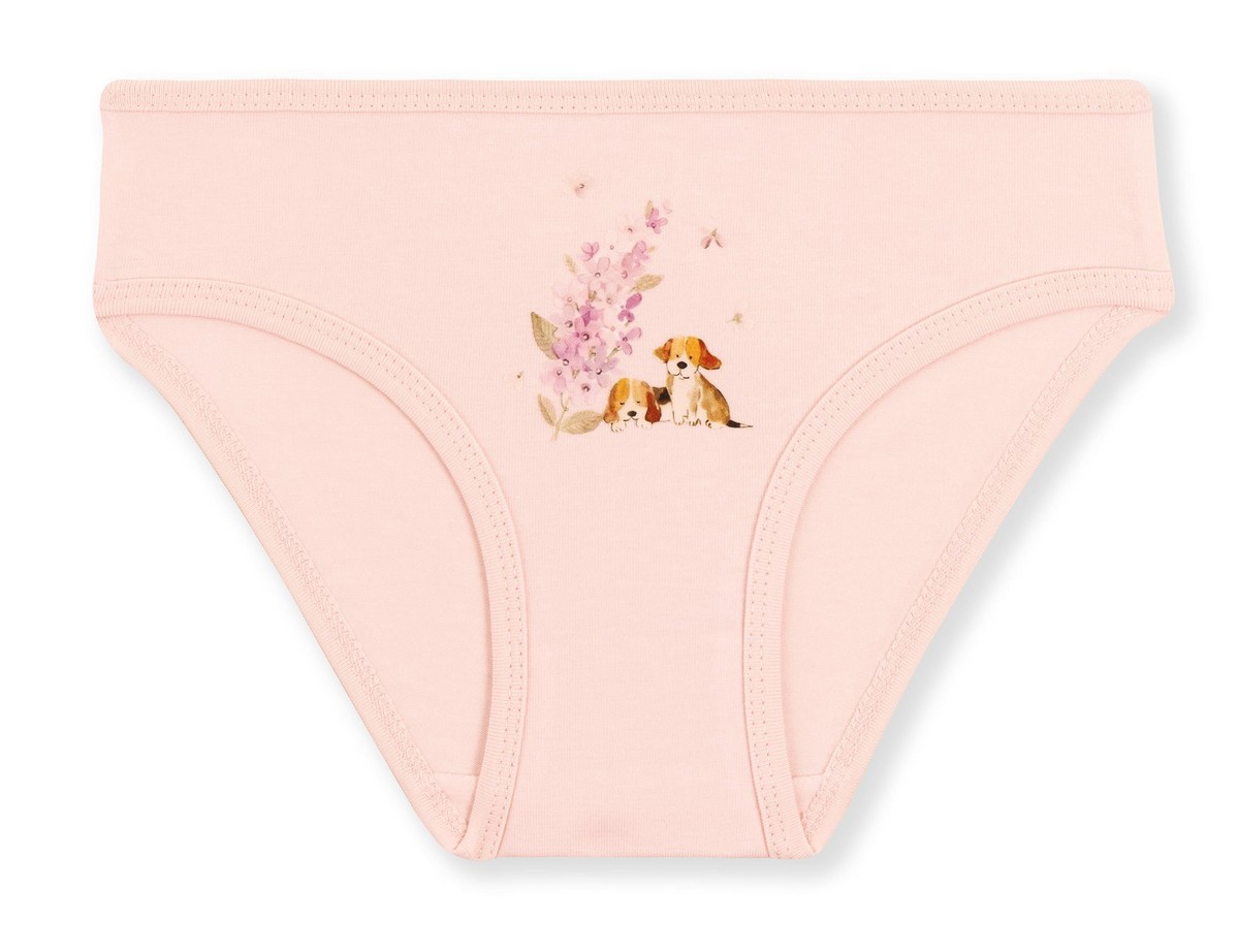 Kız Çocuk Pamuklu Renkli Baskılı Bikini Külot 3'lü Paket 5708 Renkli