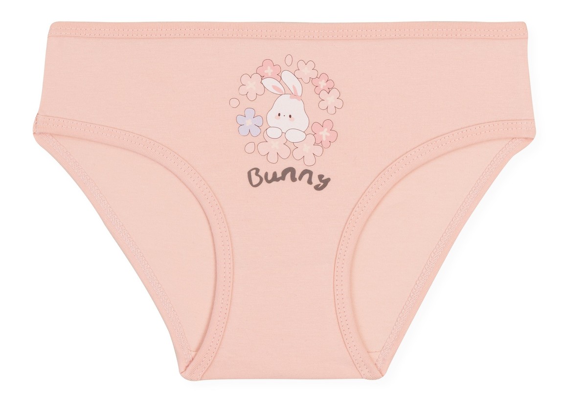 Kız Çocuk Pamuklu Renkli Baskılı Bikini Külot 6'lı Paket 5834 Renkli