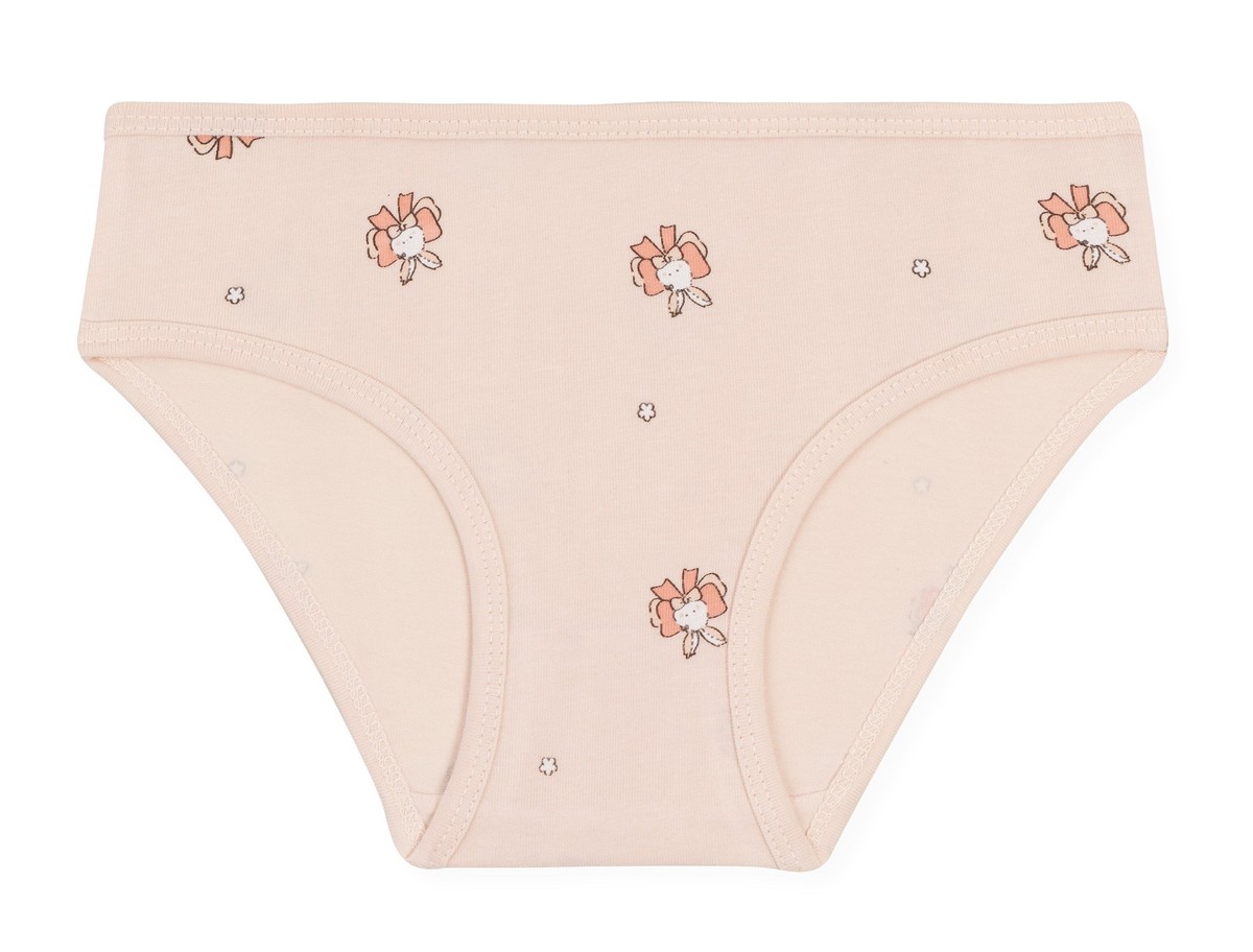 Kız Çocuk Pamuklu Renkli Baskılı Bikini Külot 6'lı Paket 5834 Renkli