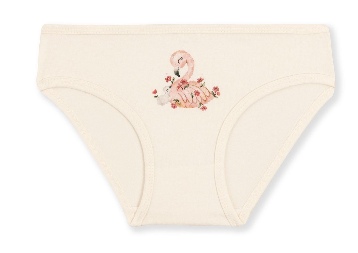 Kız Çocuk Pamuklu Renkli Baskılı Bikini Külot 3'lü Paket 5708 Renkli