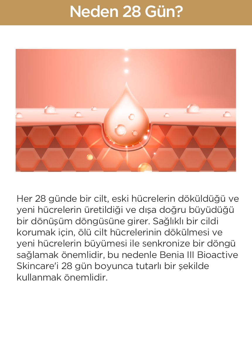 28 günlük cilt yenilenme döngüsünü açıklayan görsel