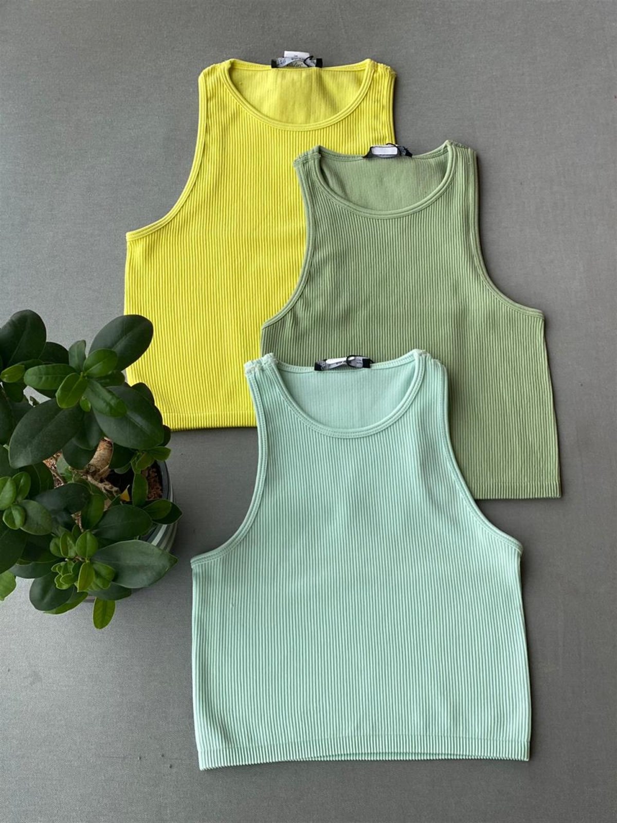 Bisiklet Yaka Crop (Sarı & Haki & Mint)