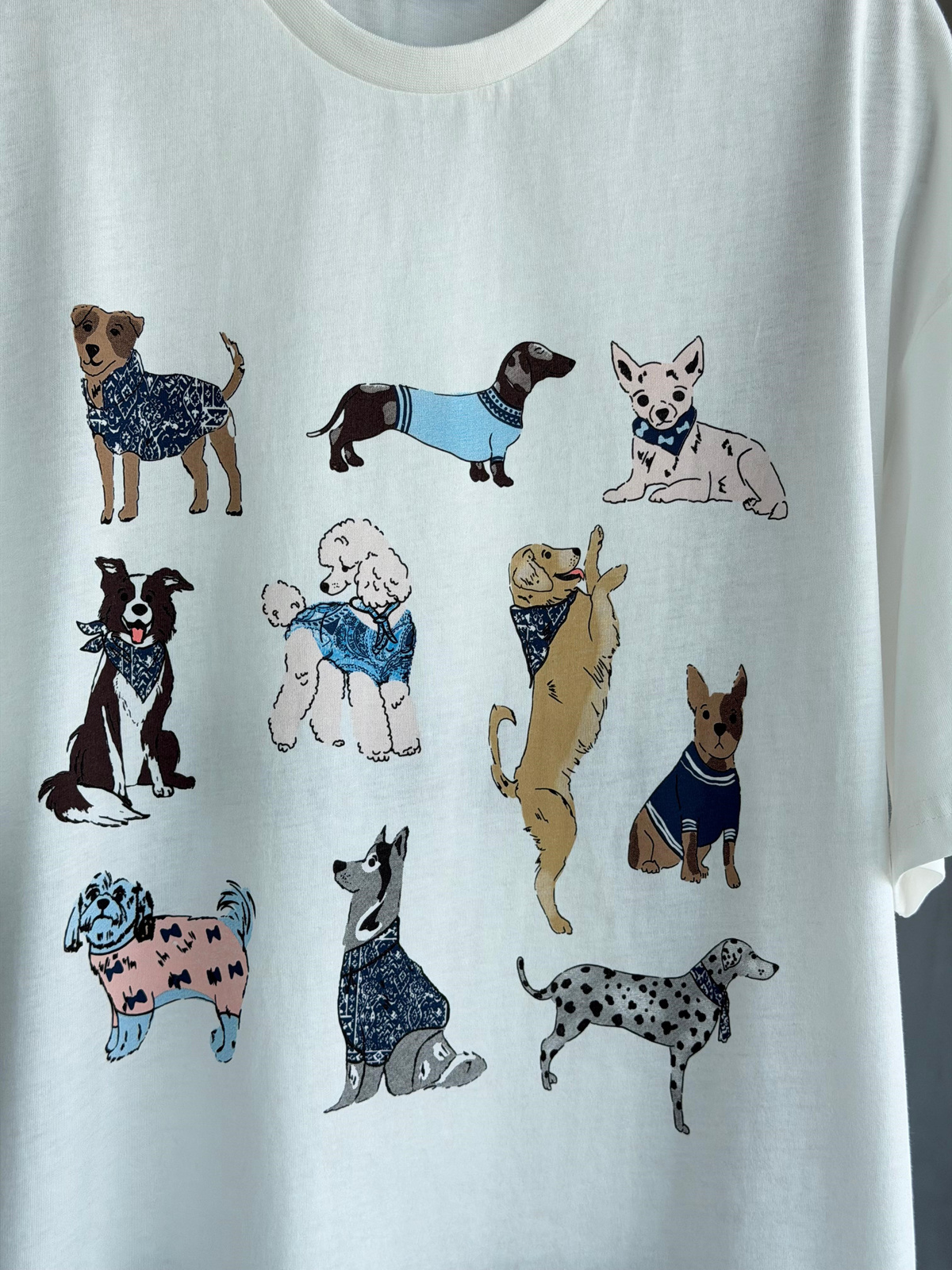 Köpek Figürlü Oversize Tişört (Ekru)