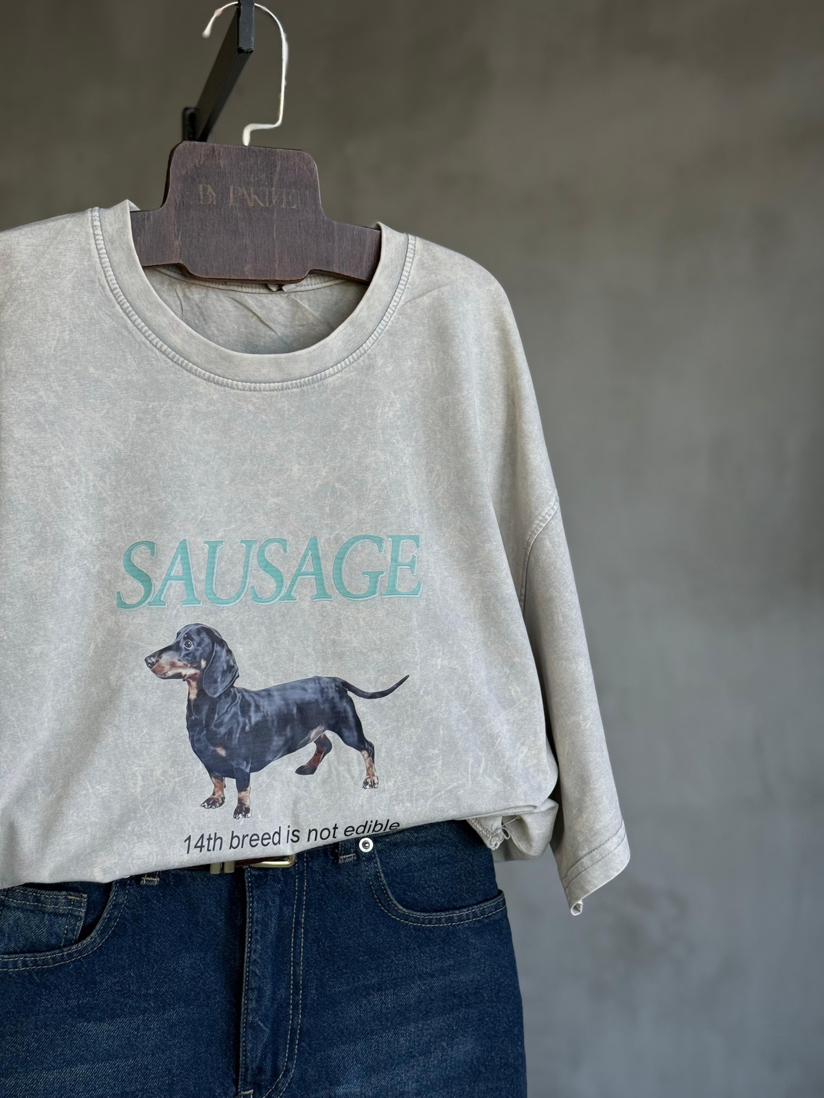 Sausage Köpek Baskılı Taş Yıkamalı Oversize Dokuma Tişört (Taş)