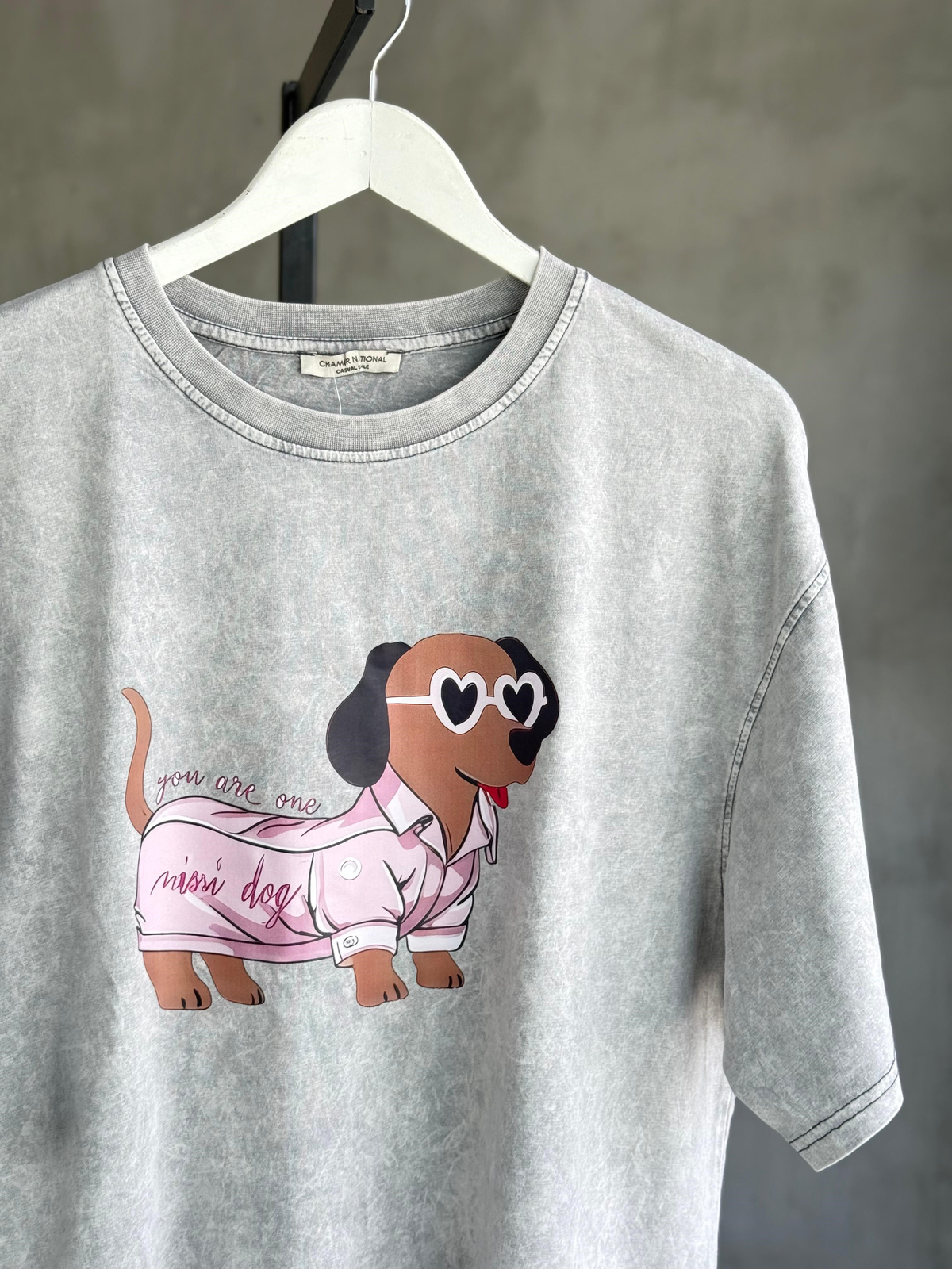 Taş Yıkamalı Oversize Gözlüklü Köpek Baskılı Dokuma Tişört (Gri)