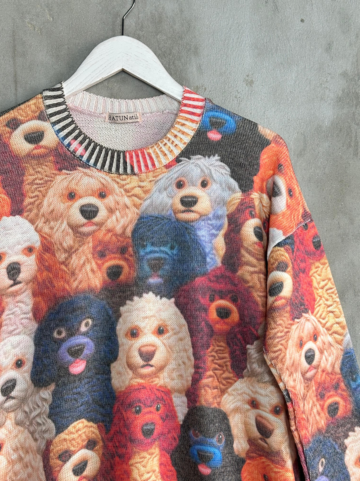 Tasarım Model Köpek Desenli Tunik Kazak (Karışık Renk)