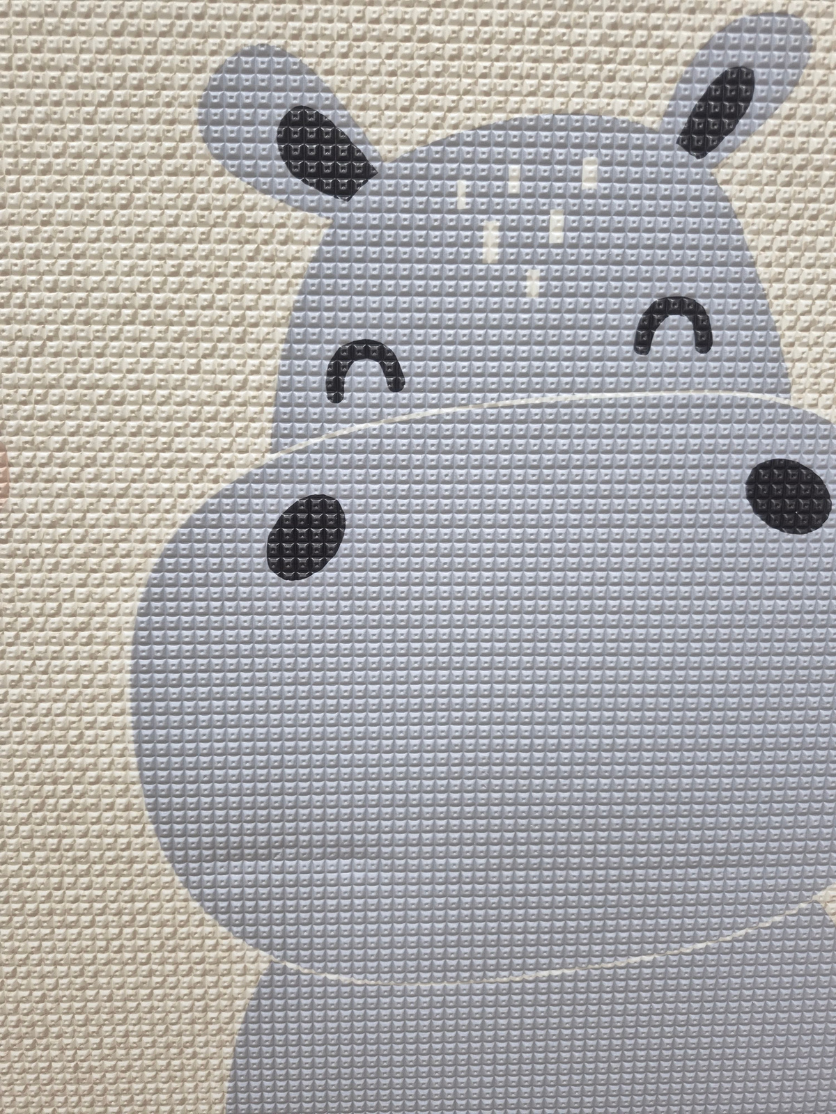 Rollmat Pastel Friends Köpük Oyun Matı PF003OLT120