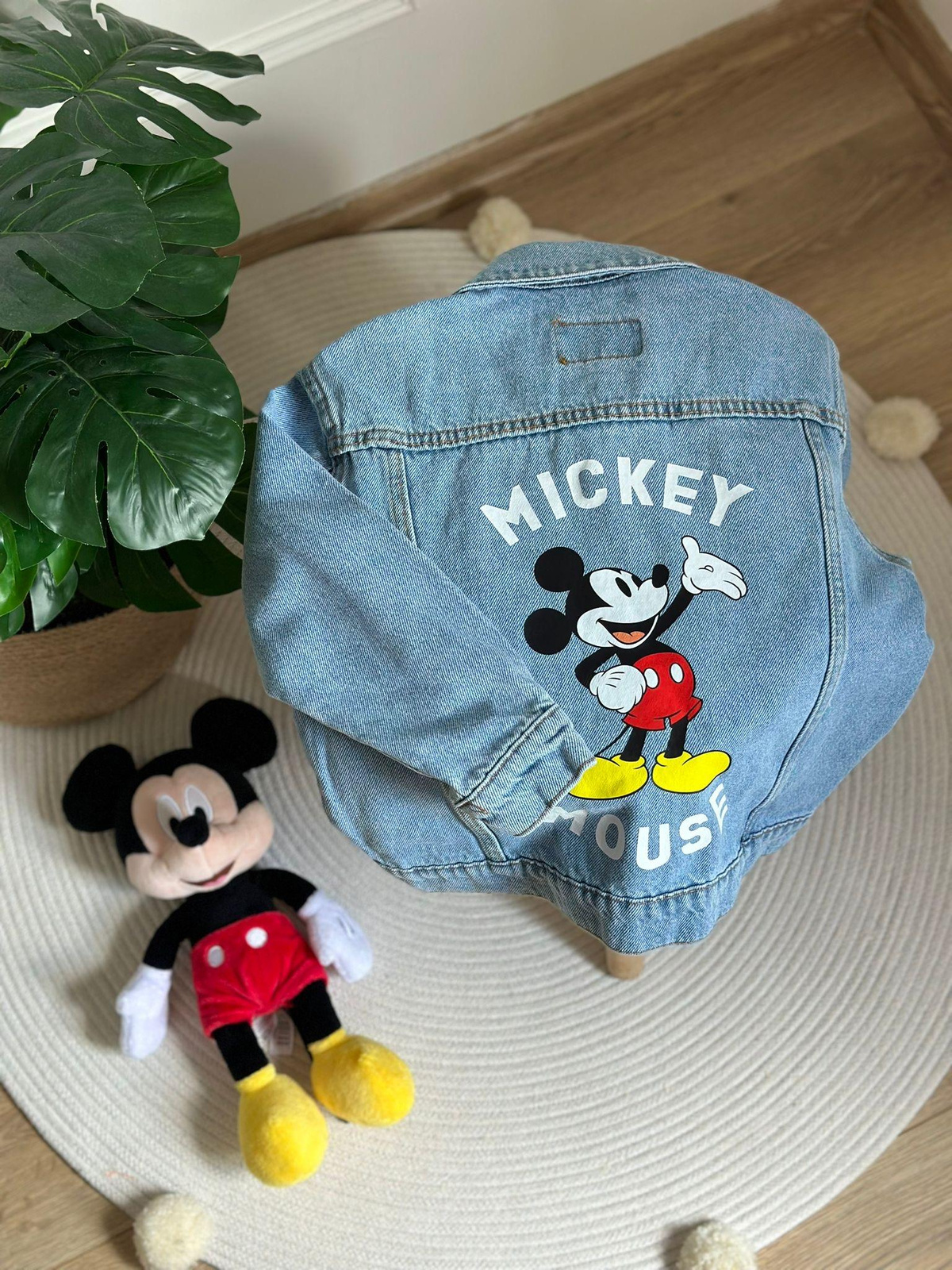 Mickey Mouse Kot Ceket
