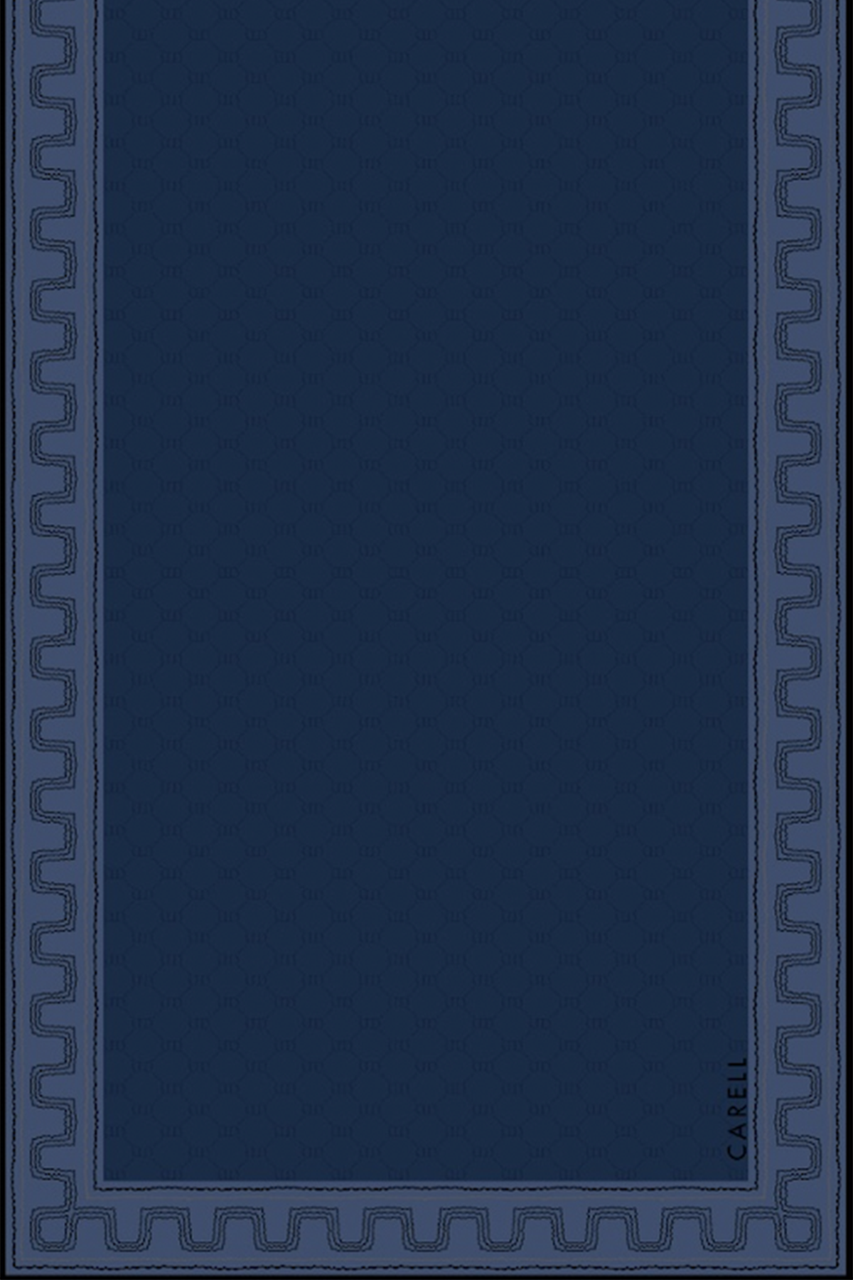 Dora Monogram Floş Şal Lacivert