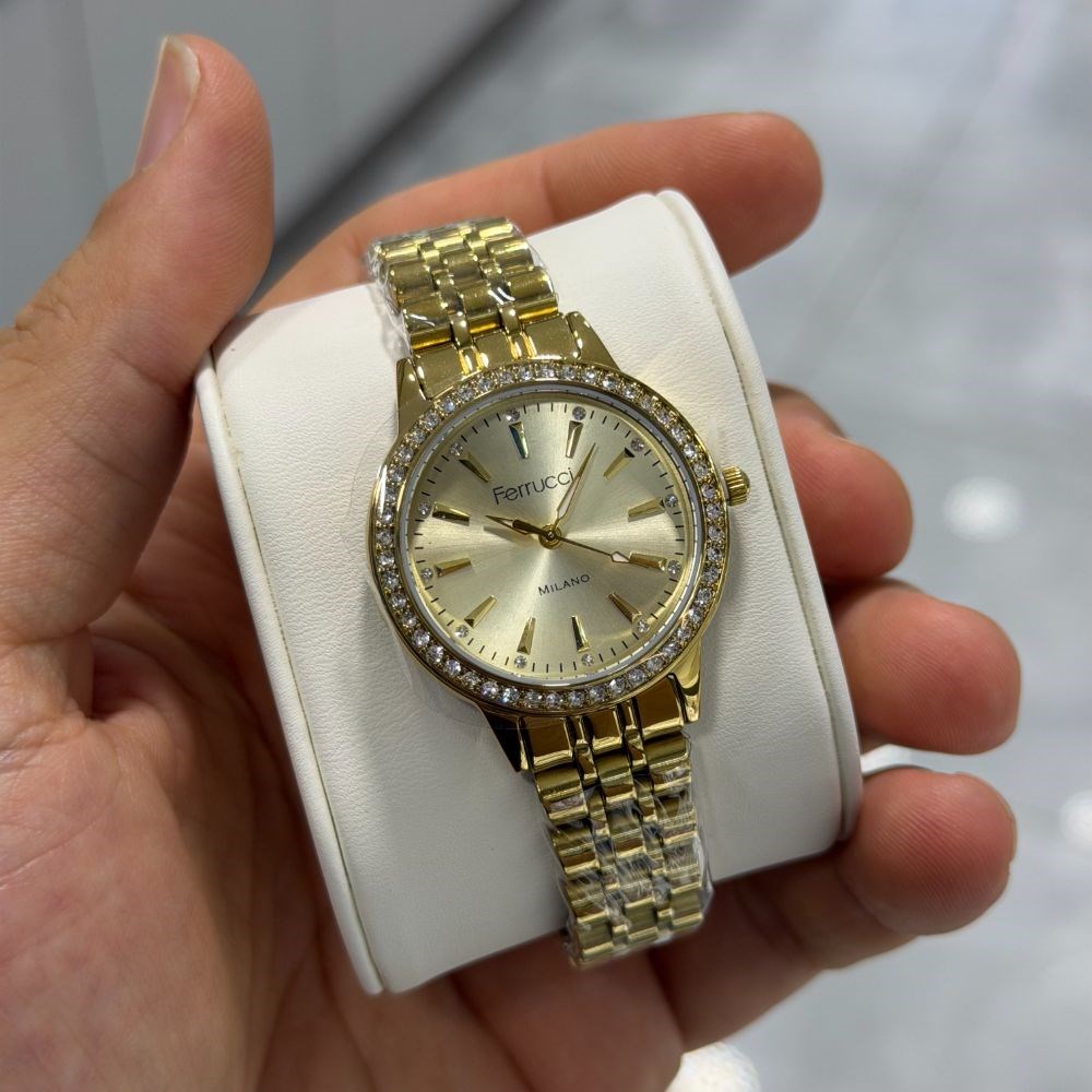 Ferrucci FER.03709M.03 Çelik Kordon Kadın Kol Saati