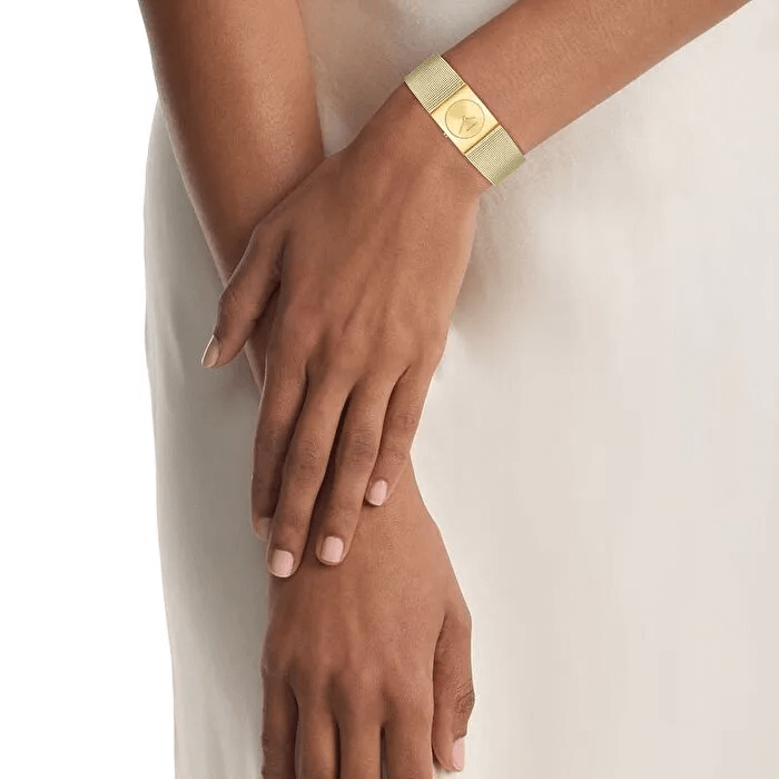Calvin Klein CK25100062 Kadın Kol Saati