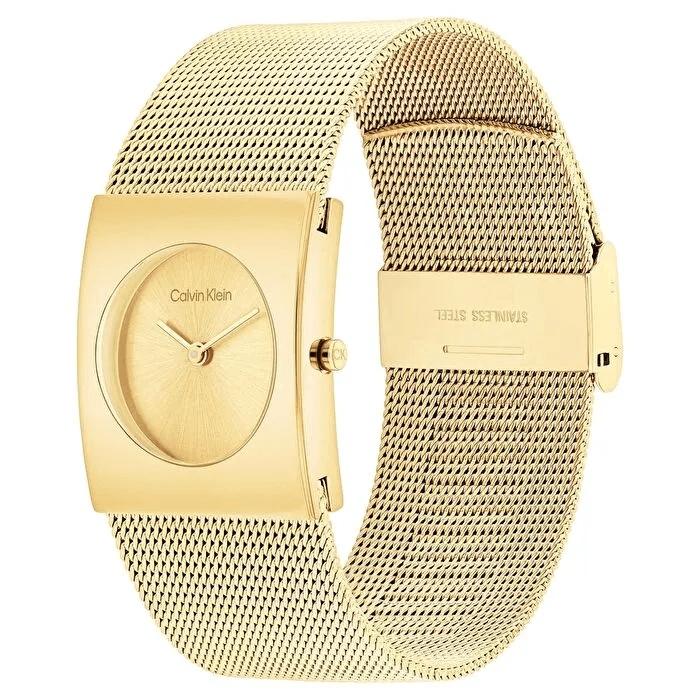 Calvin Klein CK25100062 Kadın Kol Saati