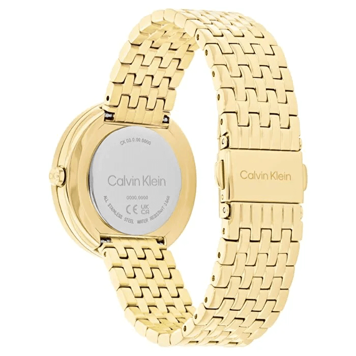 Calvin Klein CK25100066 Kadın Kol Saati
