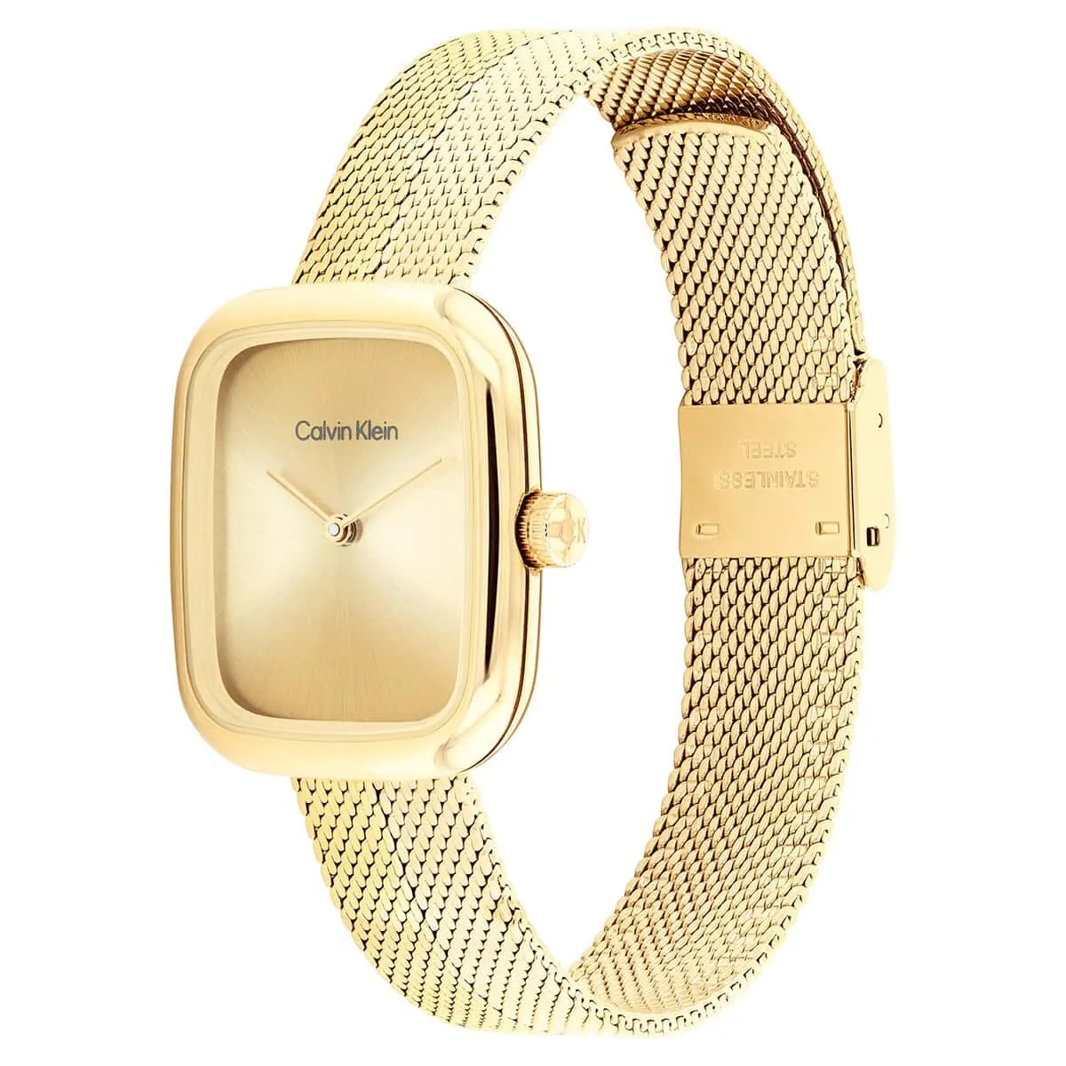 Calvin Klein CK25100099 Kadın Kol Saati