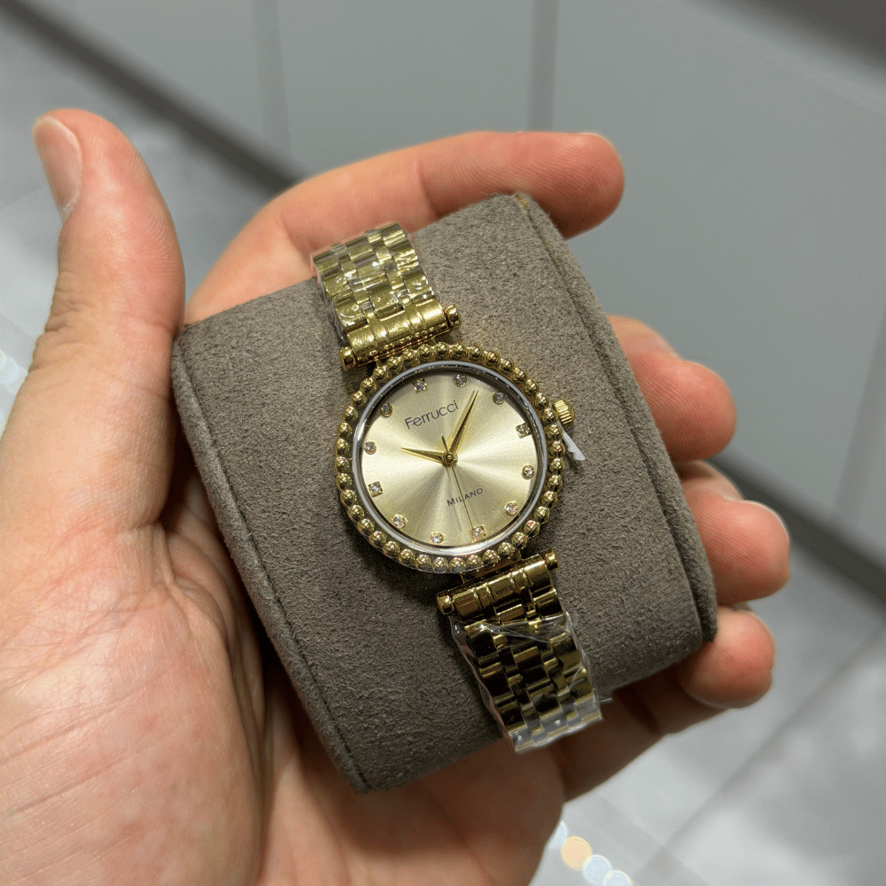 Ferrucci FER.03614M.02 Çelik Kordon Kadın Kol Saati