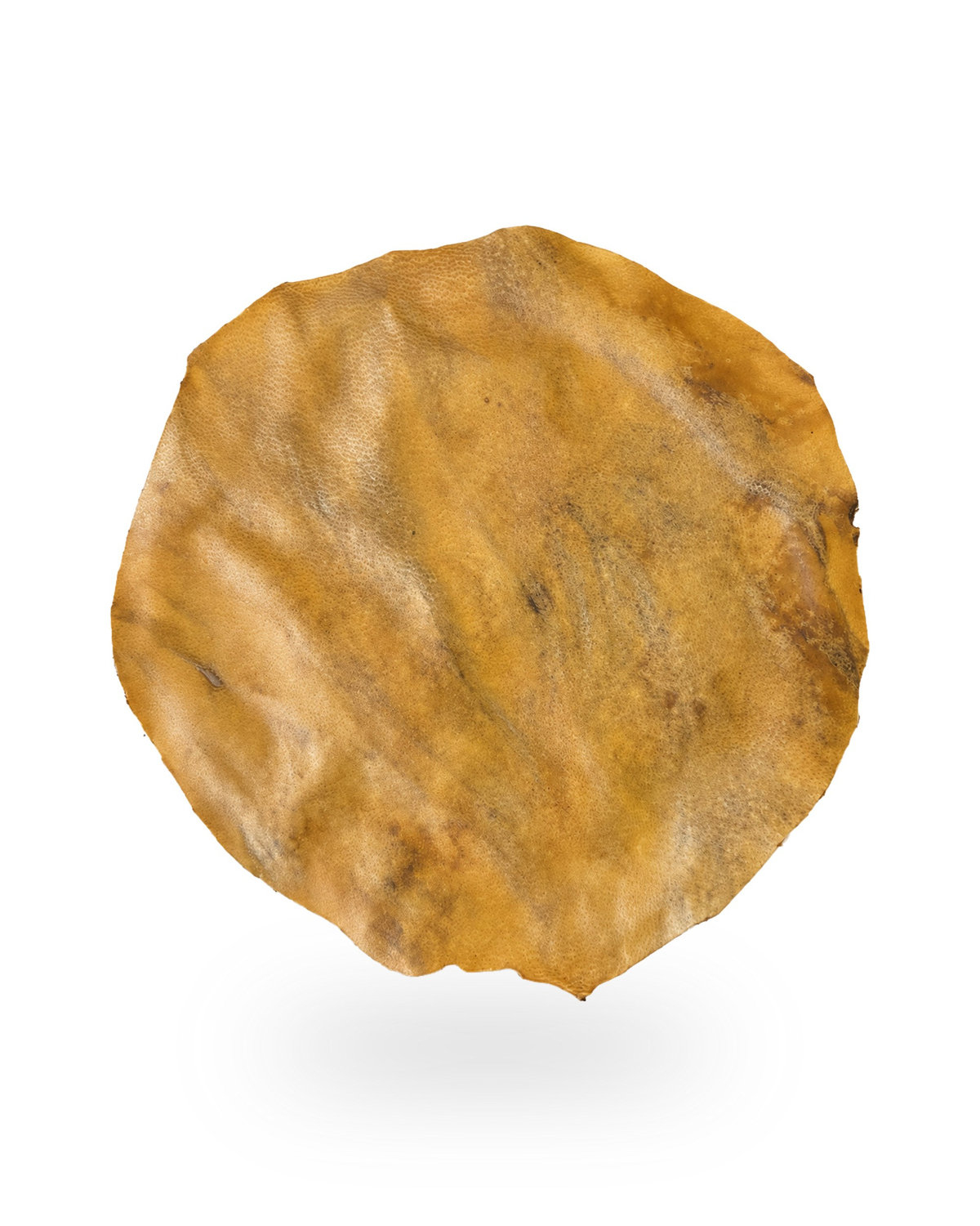 Deve Derisi 31 cm Darbuka Yedek Deri
