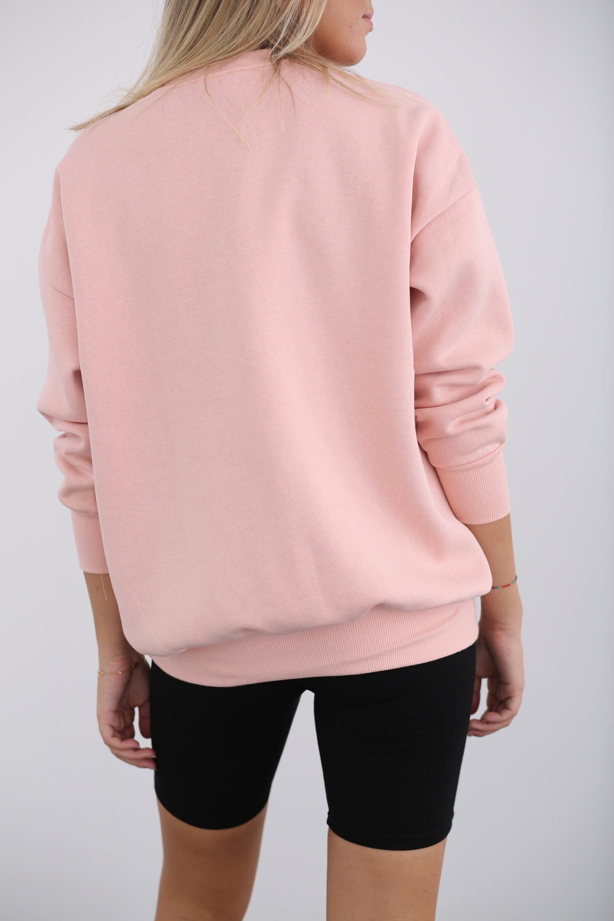 Pudra Fil Baskılı Şardonlu Sweatshirt 3203