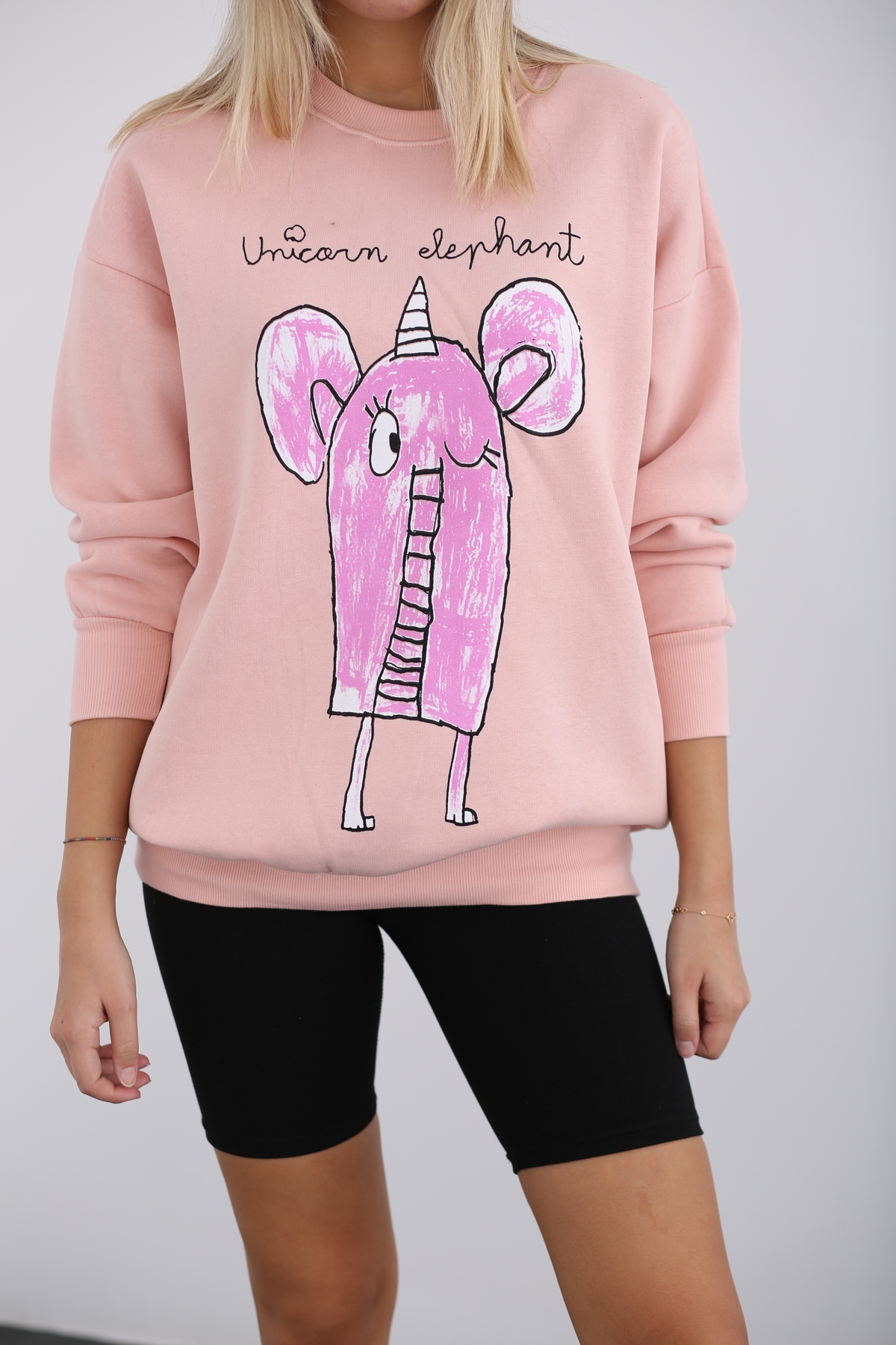 Pudra Fil Baskılı Şardonlu Sweatshirt 3203