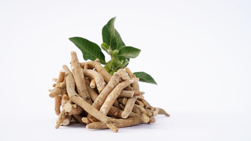 Ashwagandha: Doğadan Gelen Mucize