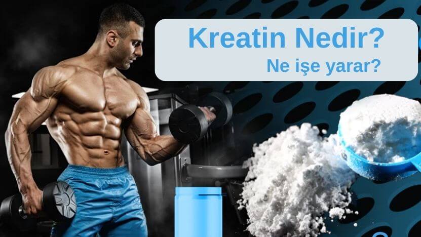 Kreatin Nedir, Ne İşe Yarar?