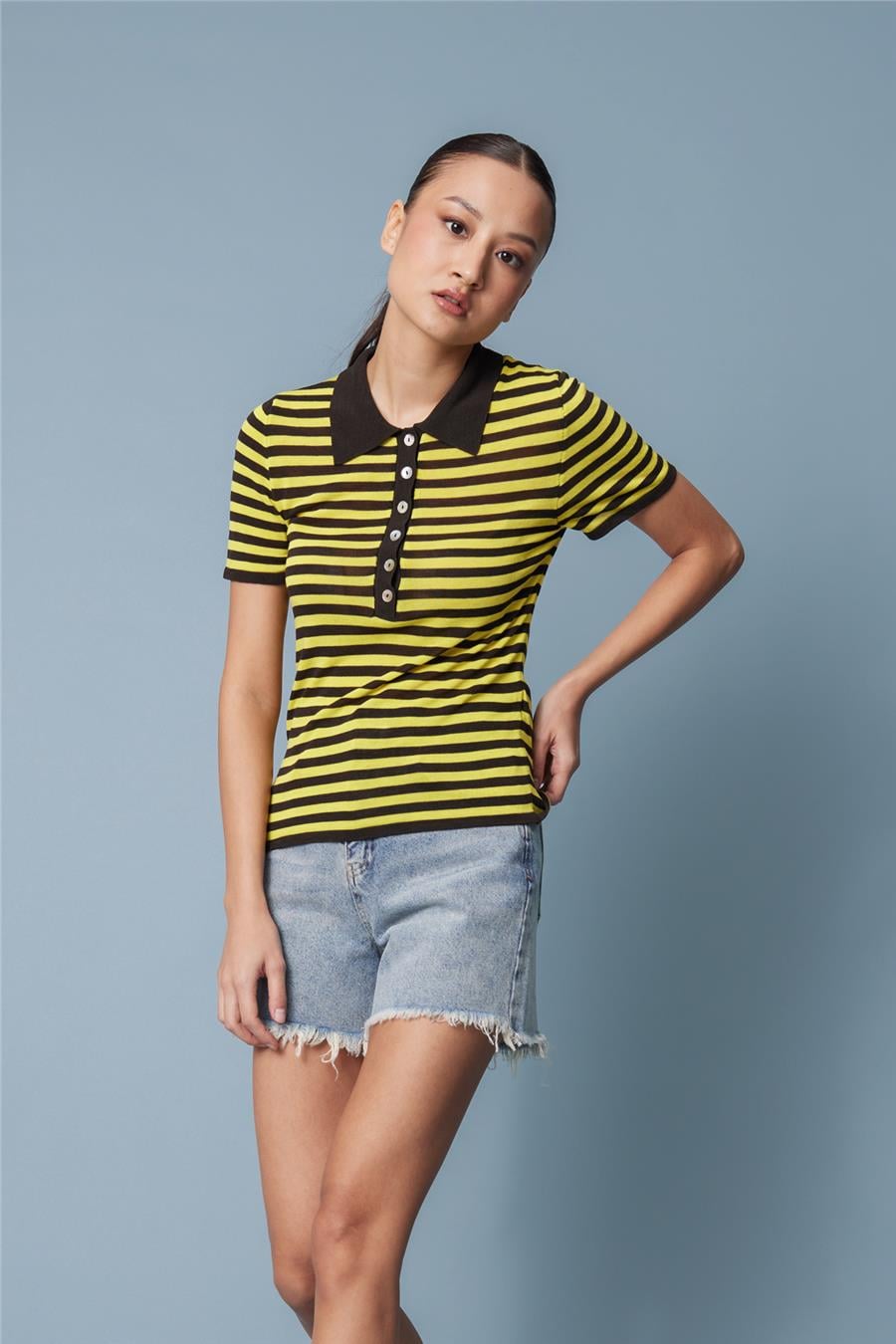 Nisan ÇİZGİLİ POLO YAKA BLUZ KAHVE-SARI TT4749-Z