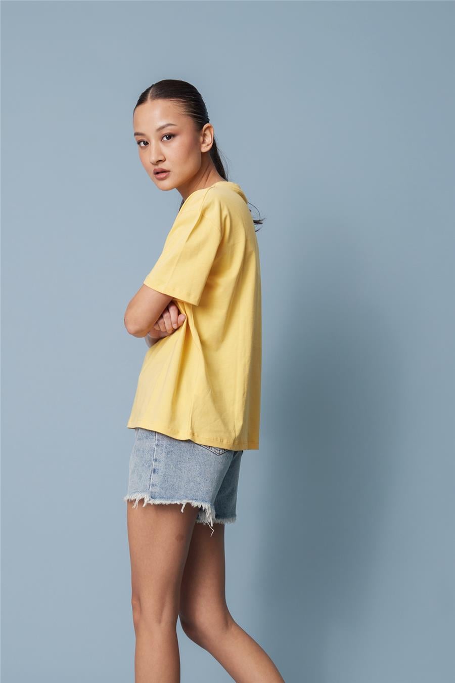 Nisan PÖTİKARE YAMA DETAYLI KISA KOLLU T-SHIRT SARI N26-2332