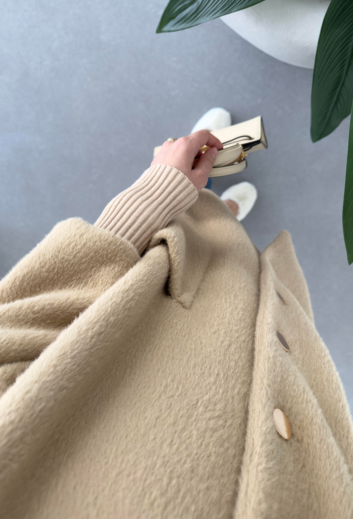 Angora Kaban Camel