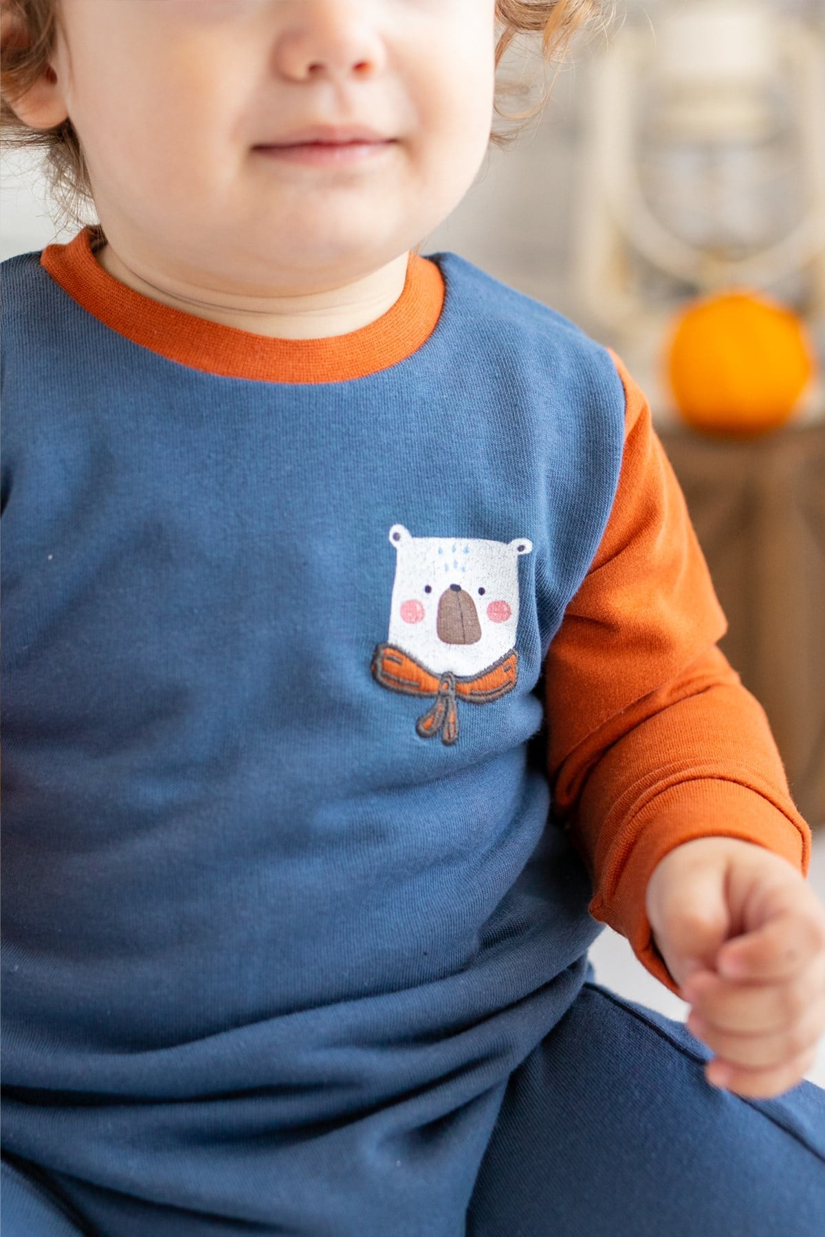 Erkek Bebek Ayıcık Baskılı Tulum (3-24ay)