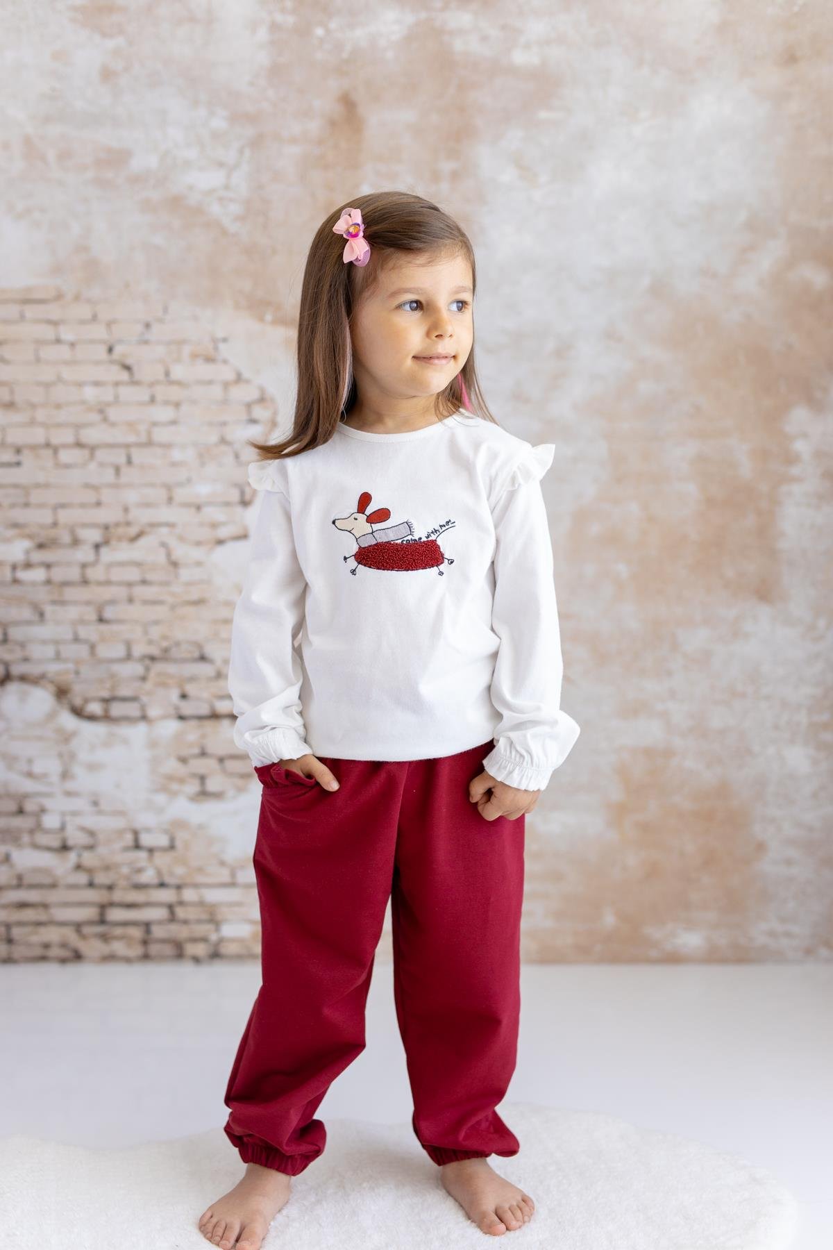 Kız Bebek Köpek Nakışlı Uzun Kollu T-Shirt - Skasar