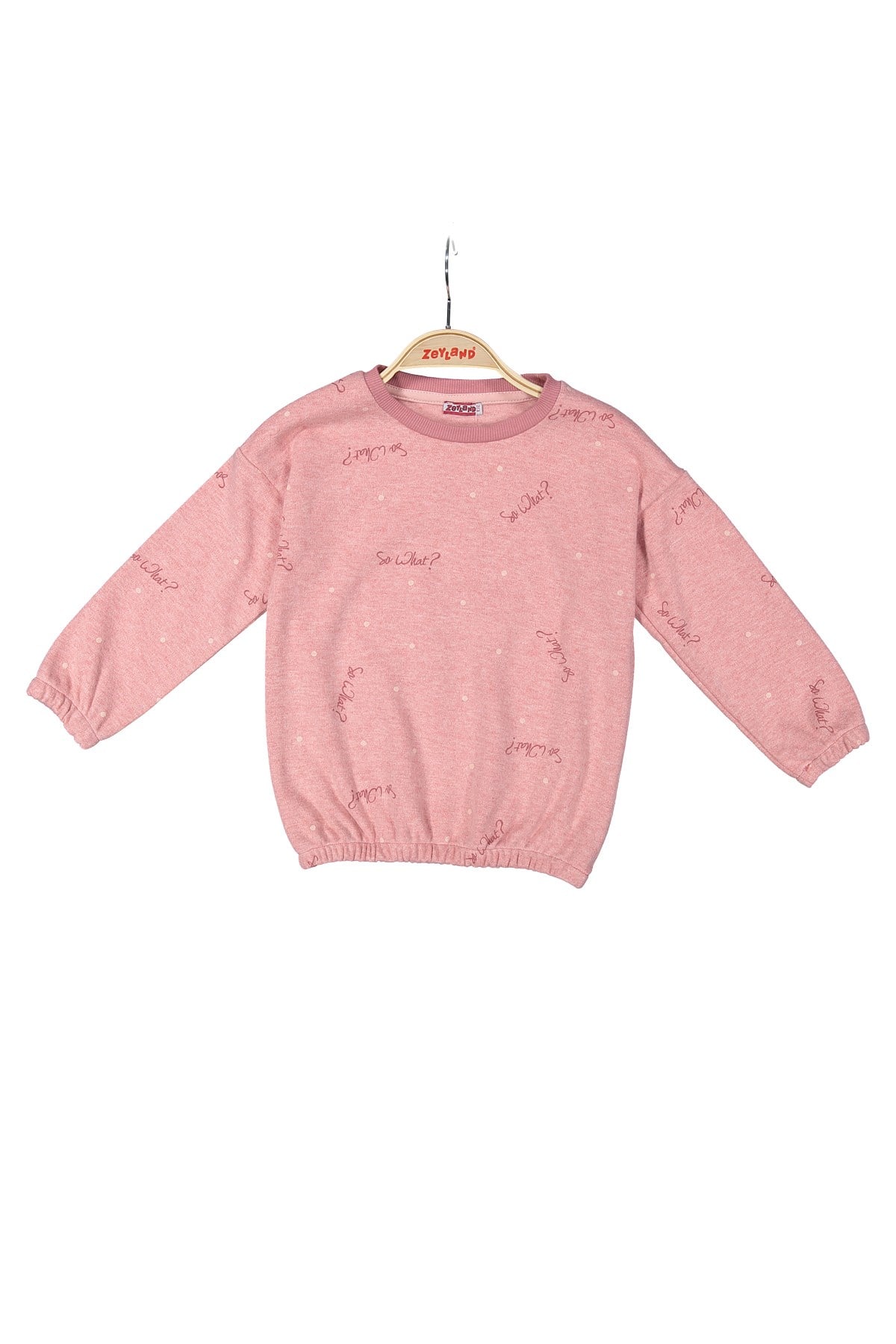 Kız Çocuk Baskılı Sweatshirt (2-12yaş)