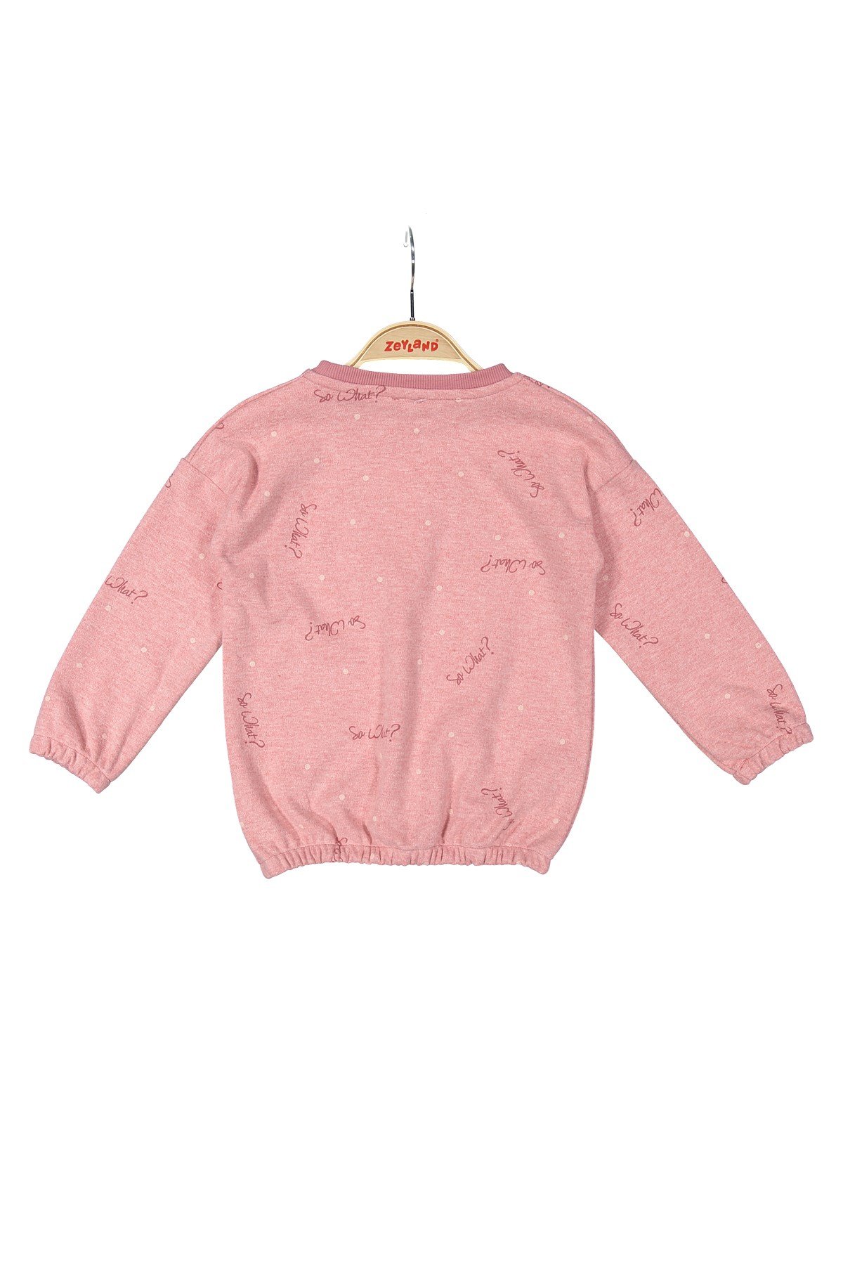 Kız Çocuk Baskılı Sweatshirt (2-12yaş)