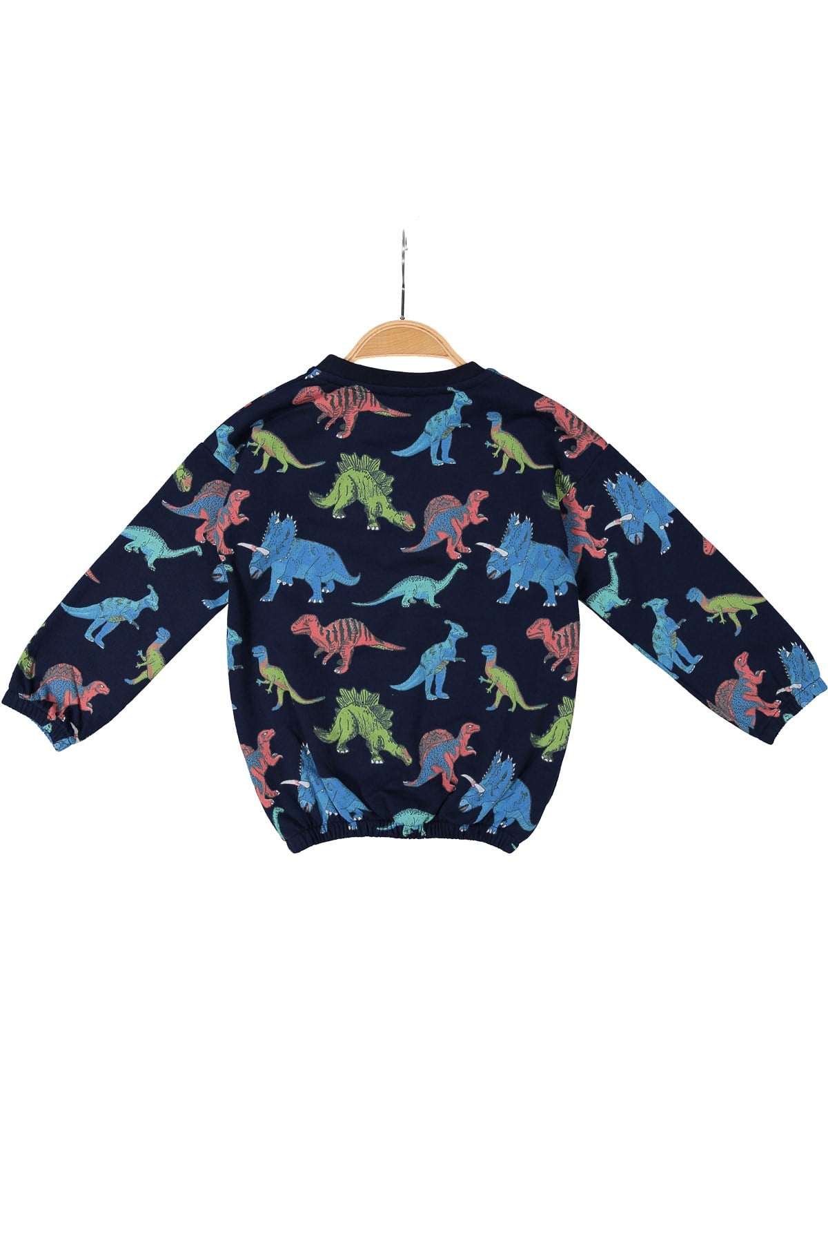 Kız Çocuk Dinazor Baskılı Sweatshirt (2-12yaş)