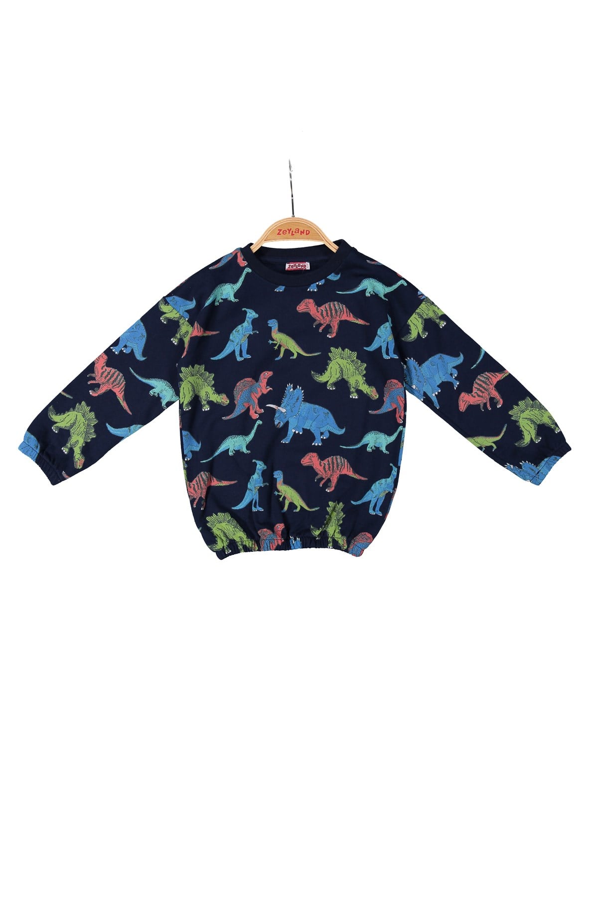 Kız Çocuk Dinazor Baskılı Sweatshirt (2-12yaş)