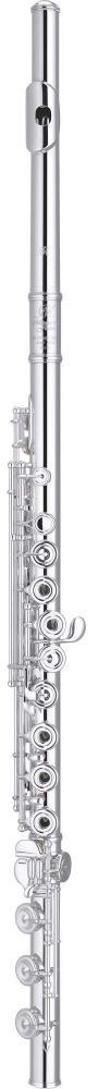 Miyazawa BR-958-2REIH BR-958-2RIE gibi, B kuyruklu