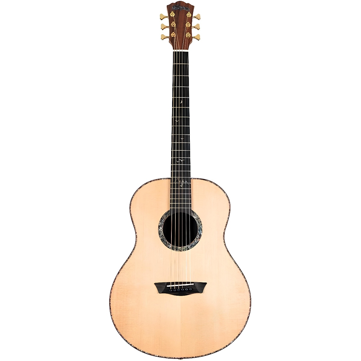 Washburn Bella Tono Elegante S24S Akustik Gitar