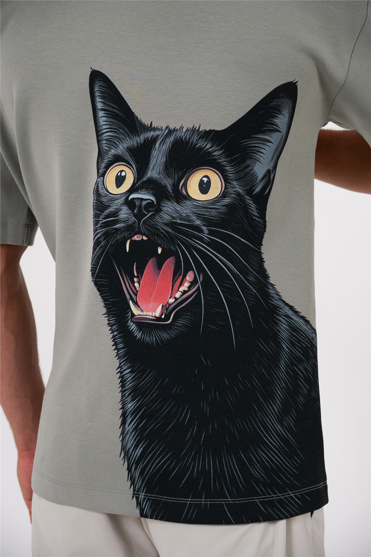 Bisiklet Yaka Arka Bedeni Kedi Baskılı Erkek T-shirt