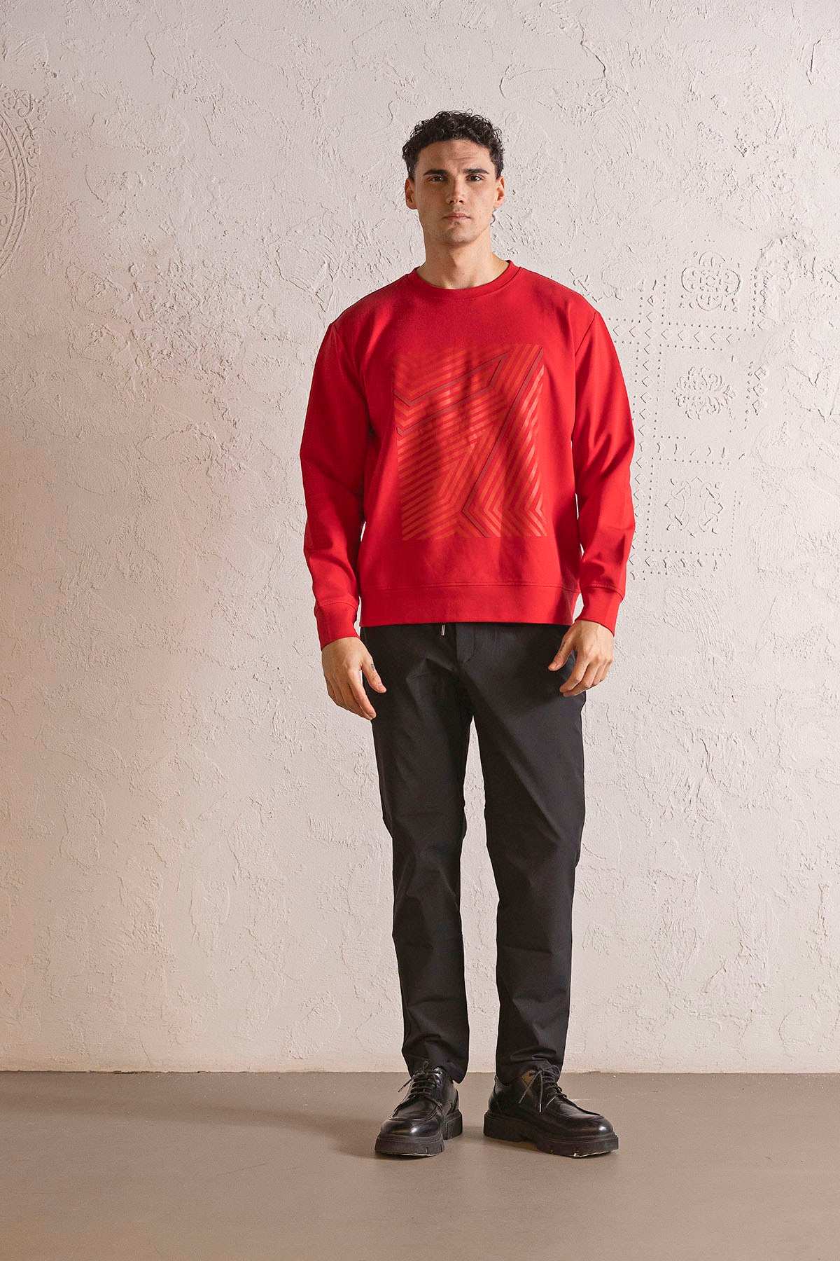 Bisiklet Yaka Geometrik Baskılı Erkek Sweatshirt