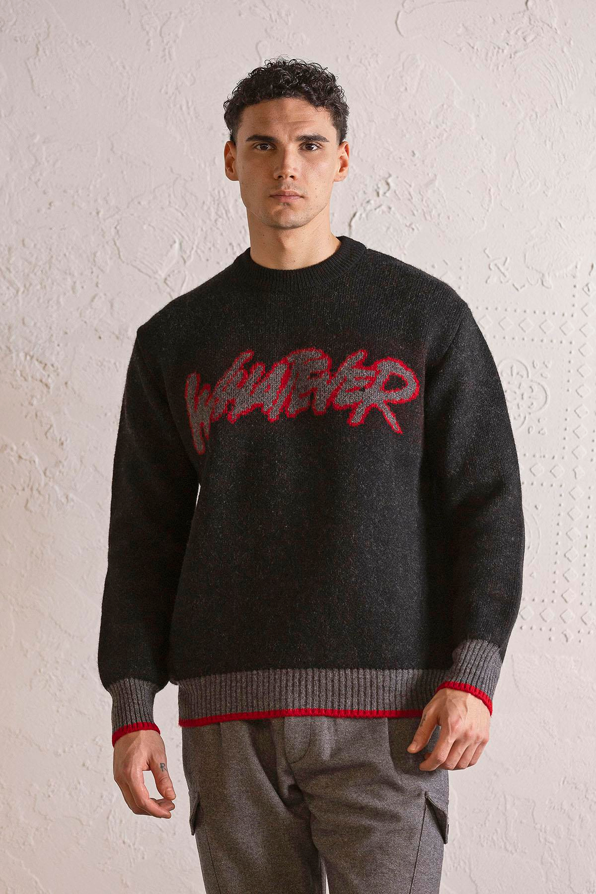 Bisiklet Yaka WHATEVER Tasarımlı Erkek Kazak