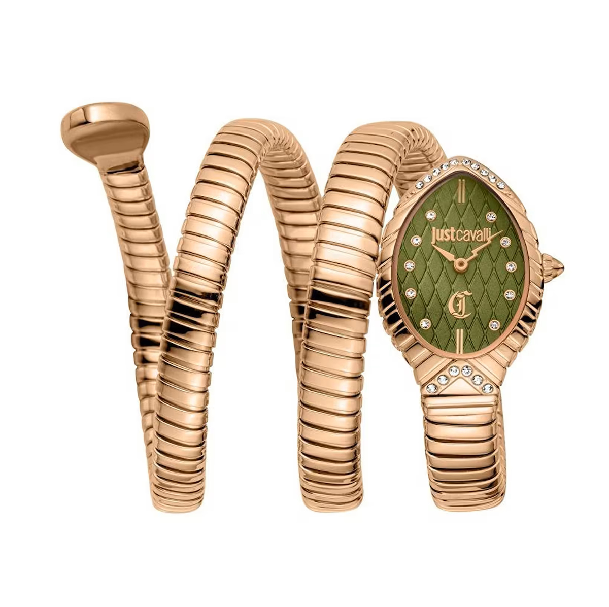  Just Cavalli JC1L323M0045 Kadın Kol Saati