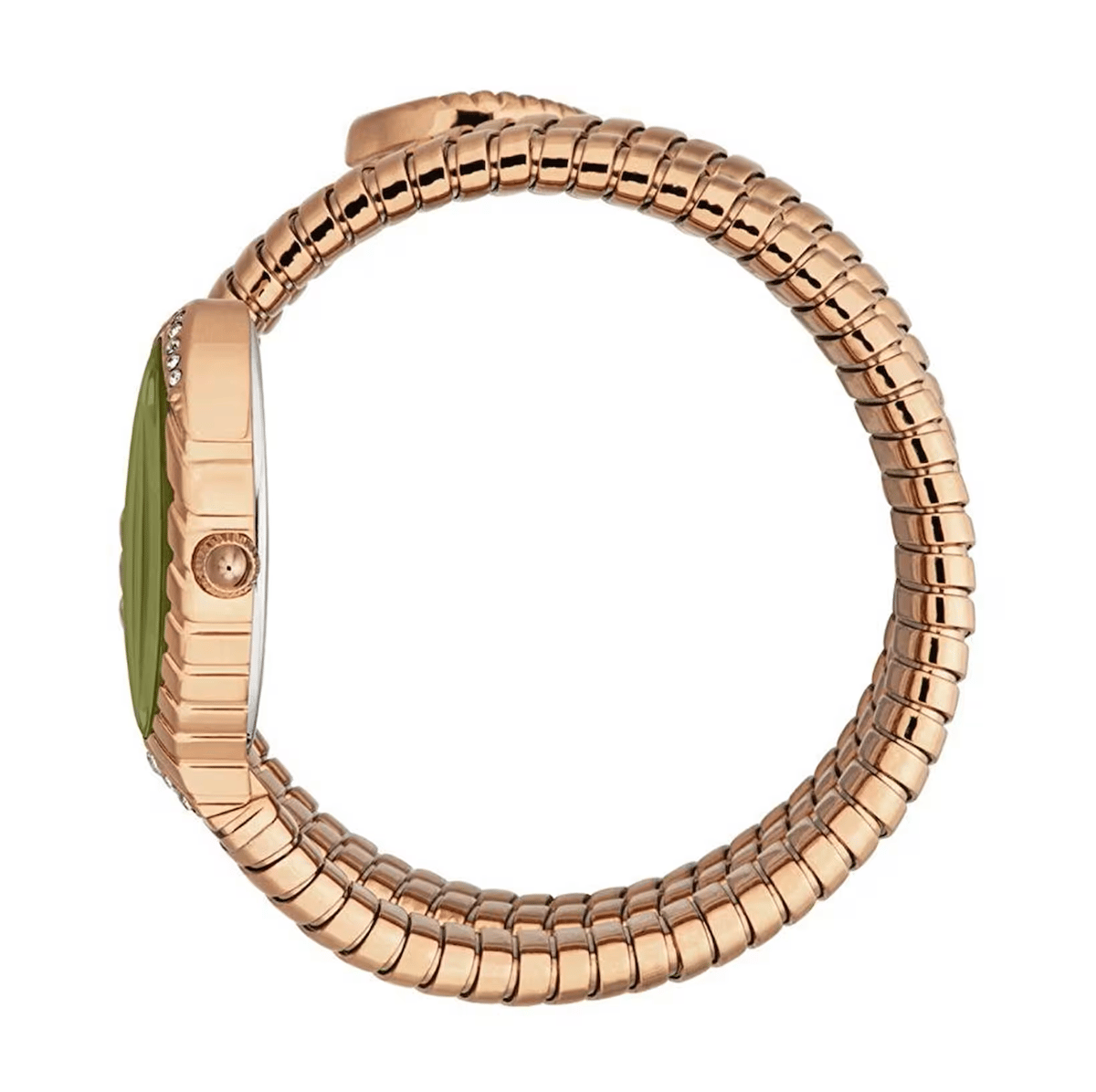  Just Cavalli JC1L323M0045 Kadın Kol Saati
