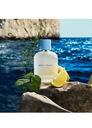 Dolce&Gabbana Light Blue Pour Homme Eau de Toilette 50ML