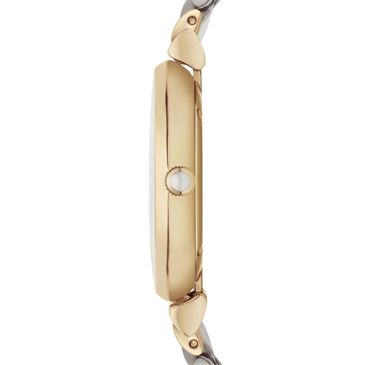 Emporio Armani AR8031 Kadın Kol Saati