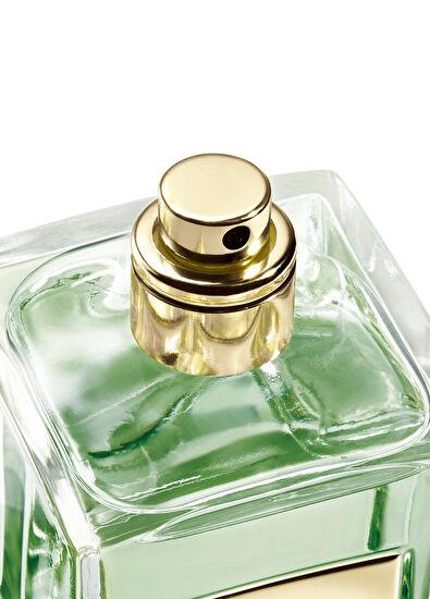 Giorgio Armani Armanı Prıve Cypres Pantellerıa Edt 100Ml