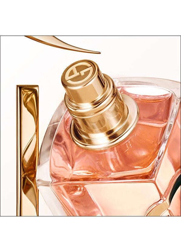 Giorgio Armani Si Intense Refillable 100 ml Kadın EDP