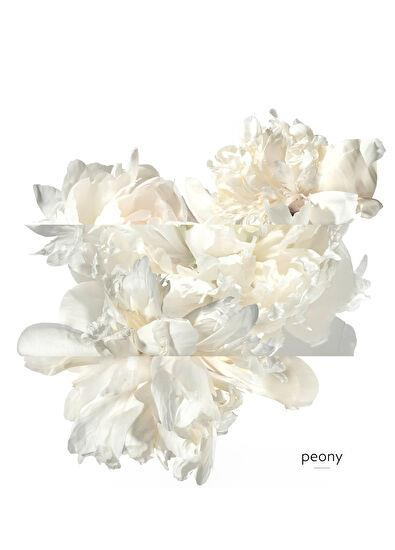 Hermès Twilly Eau Ginger Eau de Parfum 50 ml